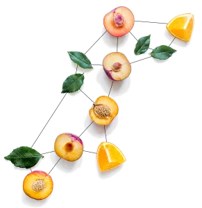 Peach halves, orange slices, and green leaves arranged in an artistic pattern.